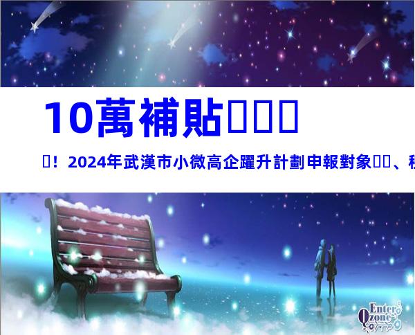 10萬補貼！2024年武漢市小微高企躍升計劃申報對象、程序